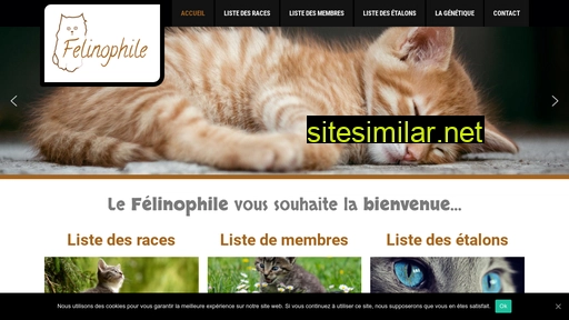 Felinophile similar sites