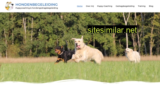 hondenbegeleiding.be alternative sites