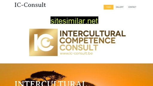 ic-consult.be alternative sites