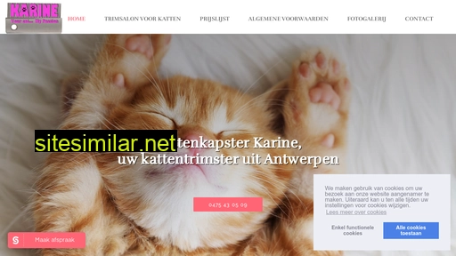 kattenkapster.be alternative sites