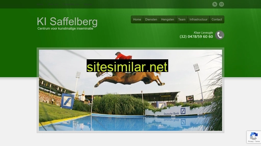 ki-saffelberg.be alternative sites
