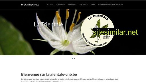 latrientale-cnb.be alternative sites