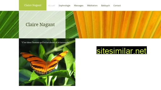 nagant.be alternative sites