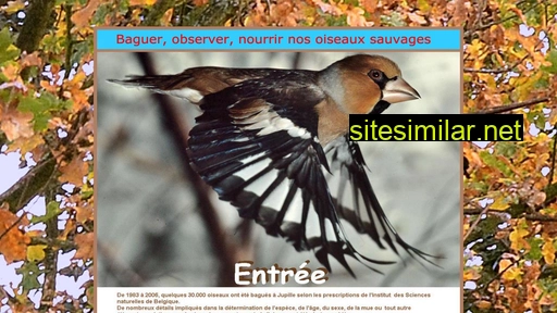 oiseaux-nature.be alternative sites