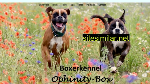 ophinitybox.be alternative sites