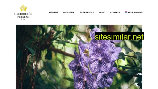 orchideeen-petrens.be alternative sites