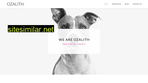 ozalith.be alternative sites