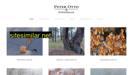 peterotto.be alternative sites