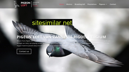 pigeonloft.be alternative sites
