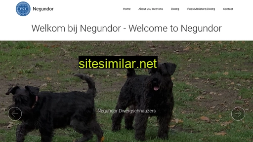 schnauzers-negundor.be alternative sites