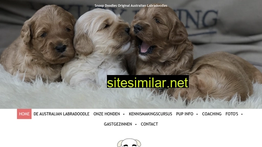 Snoopdoodles similar sites