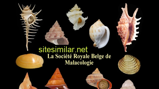 societe-belge-de-malacologie.be alternative sites