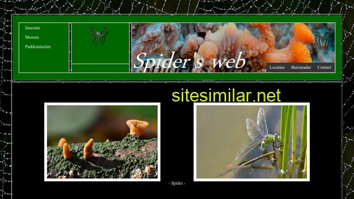 spidersweb.be alternative sites