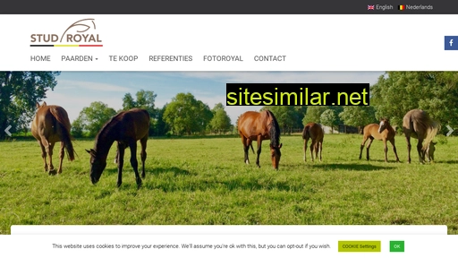 studroyal.be alternative sites