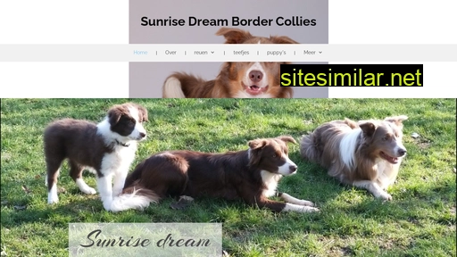 Sunrisedream-bordercollies similar sites