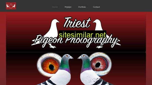 triestpigeonphotography.be alternative sites