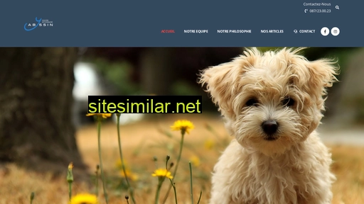 veterinaireabyssin.be alternative sites