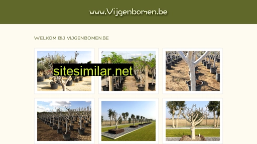 vijgenbomen.be alternative sites