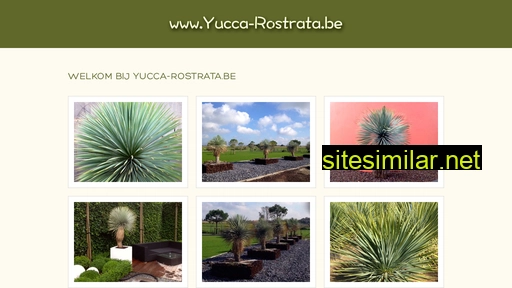yucca-rostrata.be alternative sites