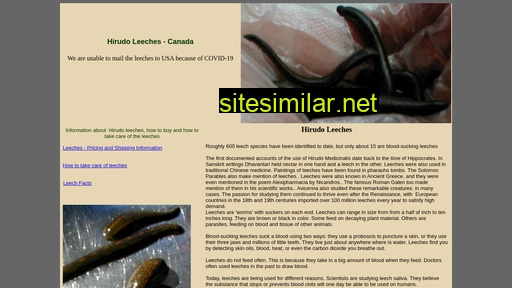Leeches similar sites