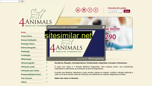 4animals.com.br alternative sites