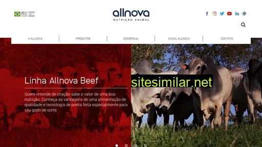 allnova.com.br alternative sites