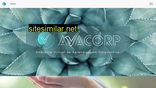 avacorp.com.br alternative sites