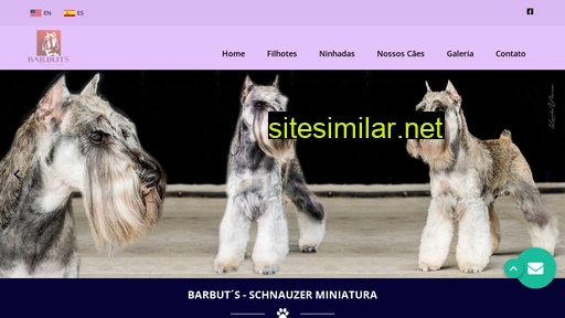 barbuts.com.br alternative sites