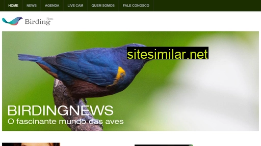 Birdingnews similar sites