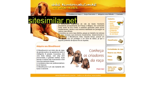 bloodhound.com.br alternative sites