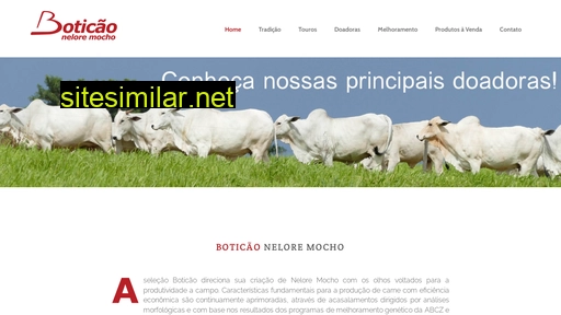 boticao.com.br alternative sites