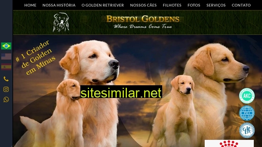 bristolelegance.com.br alternative sites