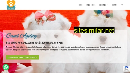 canilagility.com.br alternative sites