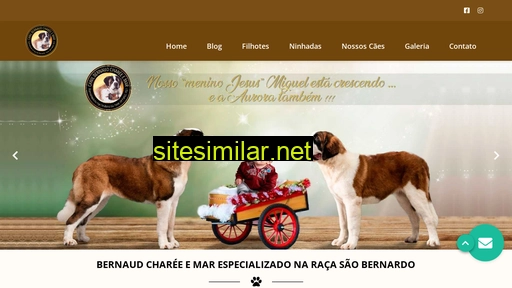 canilbernaudchareeemar.com.br alternative sites