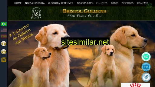 canilbristolgoldens.com.br alternative sites