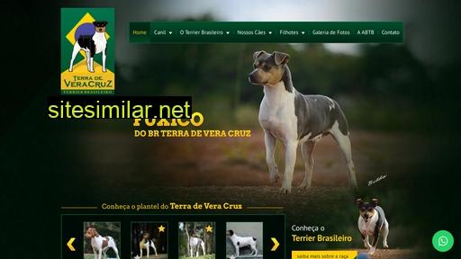 canilterradeveracruz.com.br alternative sites