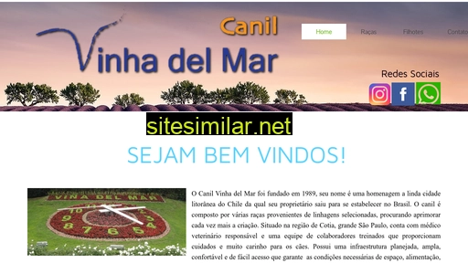 canilvinhadelmar.com.br alternative sites