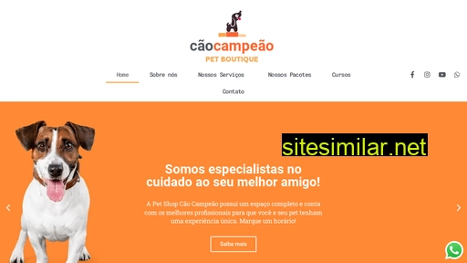 caocampeao.com.br alternative sites