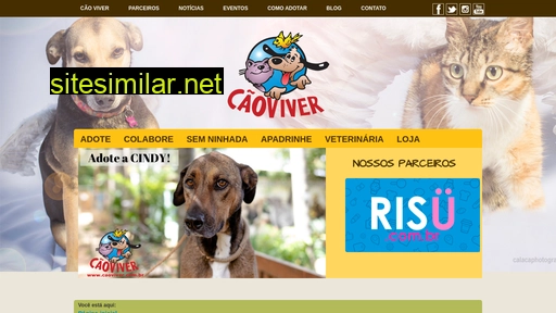 caoviver.com.br alternative sites