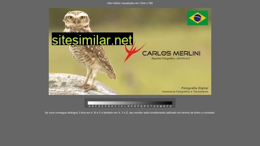 carlosmerlini.com.br alternative sites