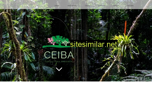 ceibaconsultoria.com.br alternative sites