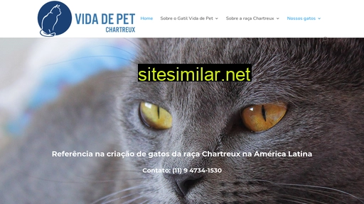 chartreux.com.br alternative sites