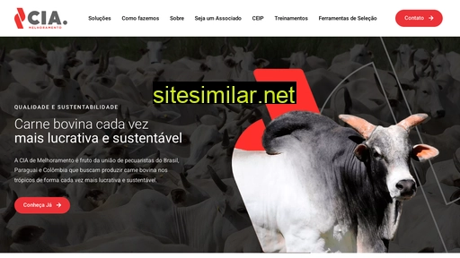 ciademelhoramento.com.br alternative sites