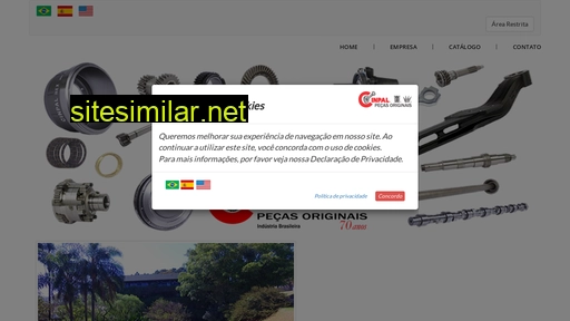 cinpal.com.br alternative sites