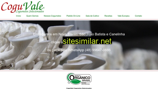 coguvale.com.br alternative sites