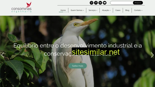 consominas.com.br alternative sites
