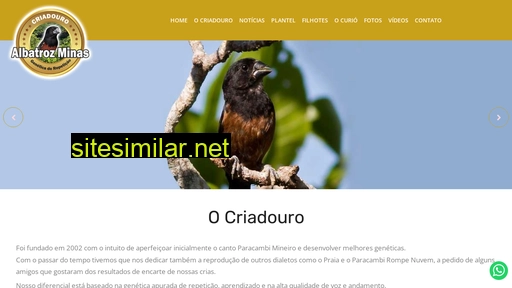 criadouroalbatrozminas.com.br alternative sites