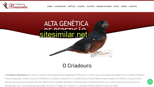 criadourobrasinha.com.br alternative sites