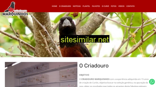criadouromarquinhos.com.br alternative sites