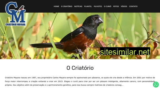criatoriomayara.com.br alternative sites